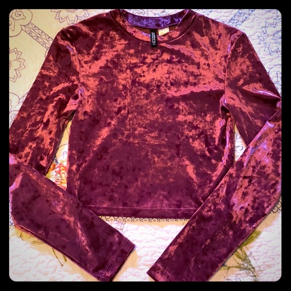 💝50% off H&M Divided Velvet Crop Top Long Sleeve - Picture 1 of 4